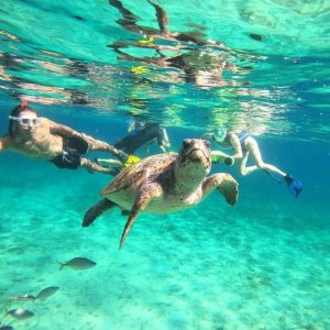 Paphos: Turtle-Watching Snorkeling Sea Scooter Trip