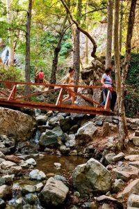 From Paphos: Caledonia Waterfalls Walking Tour with Lunch